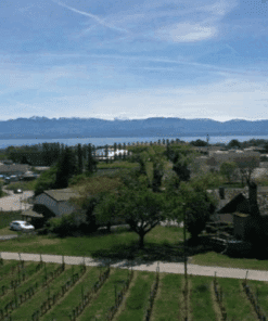 Terrain constructible